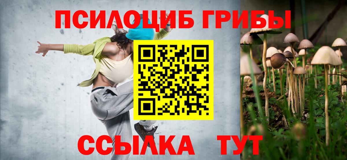 Псилоцибиновые грибы MAGIC MUSHROOMS  Вход с VPN  Маркс  Псилоцибиновые грибы Cubensis 