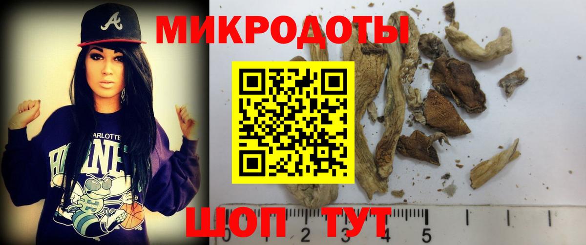 Галлюциногенные грибы прущие грибы Маркс